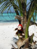 George! Get out of that tree!