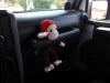 George came along for the ride