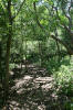 Hiking through the jungle
