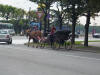Horse and Carriage