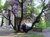 Chris at the Villa Borghese gardens
