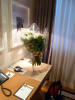 Roses for Chris