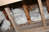 Yummy looking spray foam