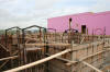 Molds for the foundation
