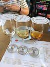 Yay! Tequila tasting!