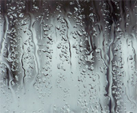 Rainy Day