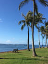 Postcard Perfect