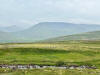 Typical countryside view