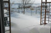 Winter Wonderland