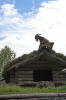 Goats on a roof!