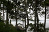 View from our cabin