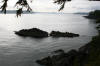 Lee Island