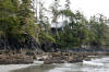 View of our cabin from the beach