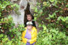 Inside a tree