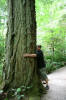 Look! I'm a tree hugger!