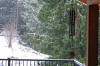 Winter wonderland
